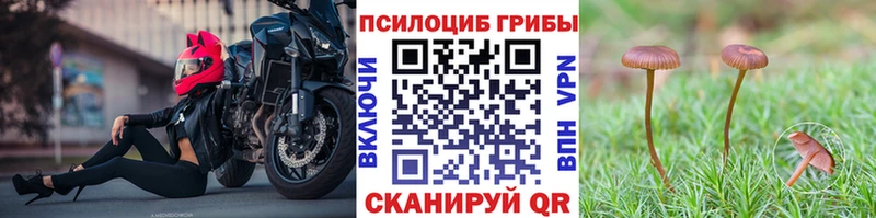 Псилоцибиновые грибы GOLDEN TEACHER  Исилькуль 